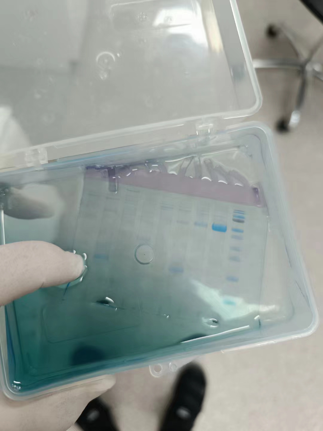 蛋白纯化Protein Purification - Related Reagents